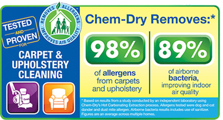 Hampton's Chem-Dry removes 98% of allergens from carpets & upholstery