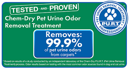 Chem-Dry's Pet Urine Removal Treatment Removes 99.9% of Pet Urine Odor and 99.2% of Pet Urine Bacteria