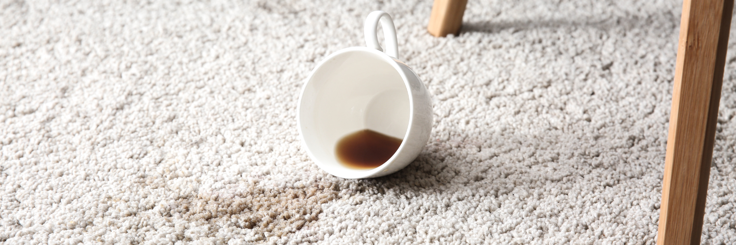 Specialty Stain Removal in Hannibal & Quincy Hampton's ChemDry